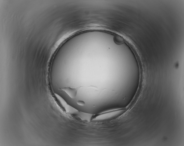 X0000116141333200912141124