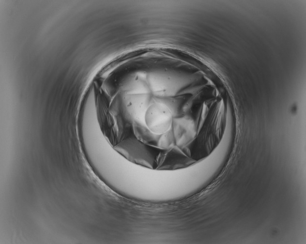 X0000116141334200912141124