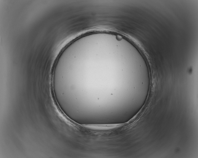 X0000116141335200912141124