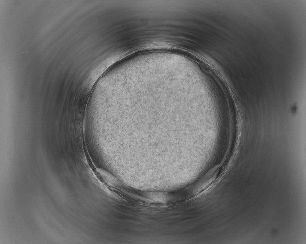 X0000116141337200912141124