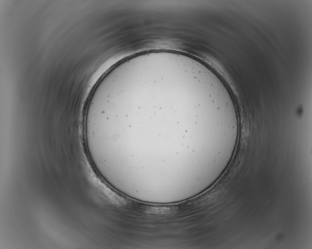 X0000116141339200912141124