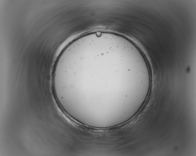 X0000116141341200912141124