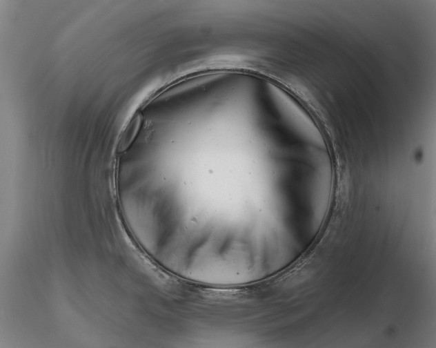 X0000116141342200912141124