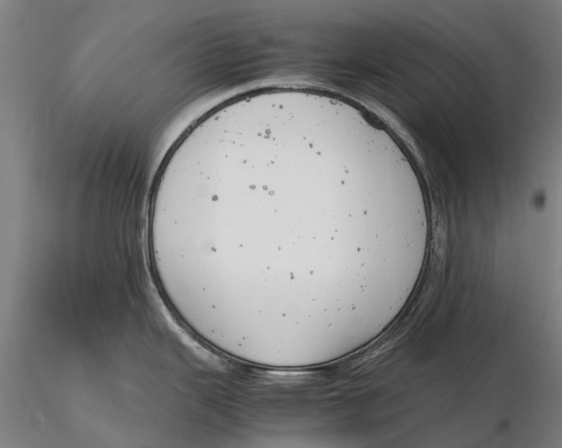 X0000116141343200912141124