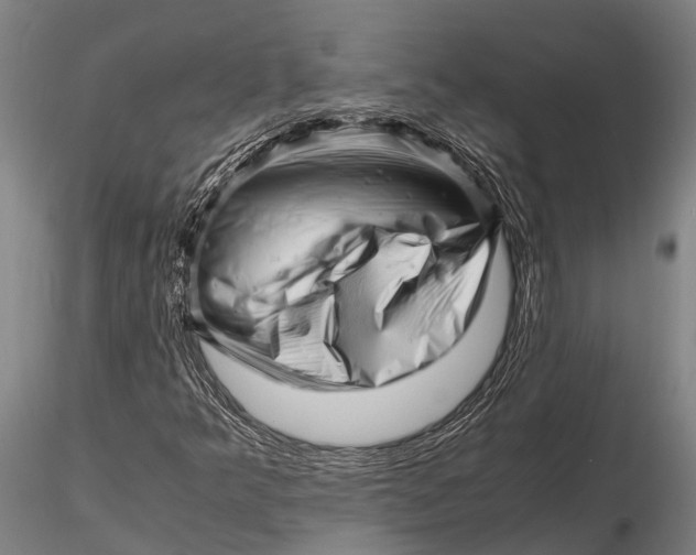 X0000116141349200912141123