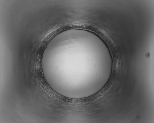 X0000116141350200912141123