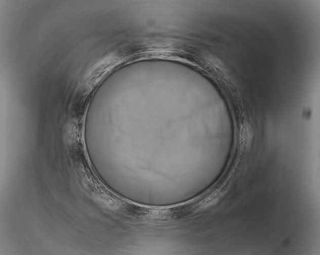 X0000116141353200912141123