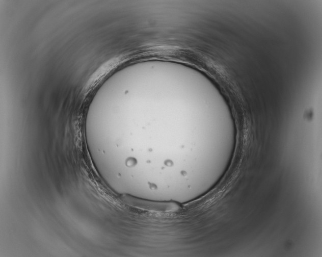 X0000116141354200912141123