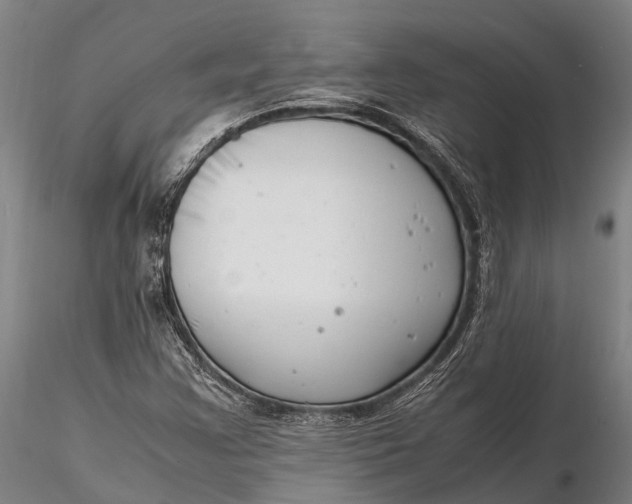 X0000116141355200912141123