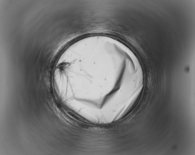 X0000116141356200912141123