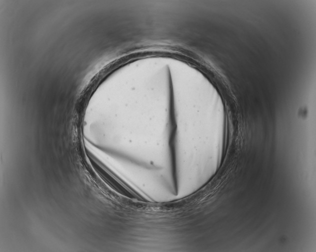 X0000116141360200912141123