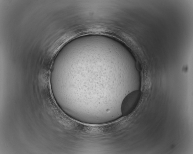 X0000116141361200912141123