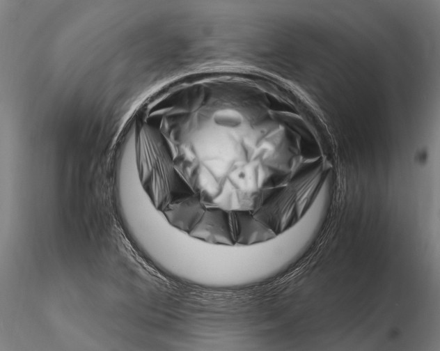 X0000116141364200912141123