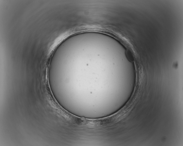 X0000116141365200912141123