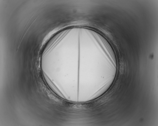 X0000116141366200912141123