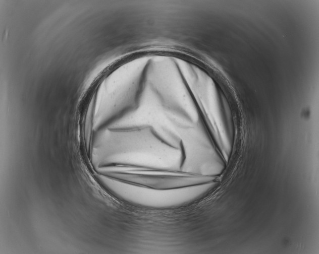 X0000116141368200912141123