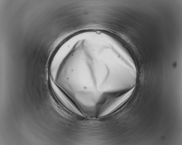 X0000116141372200912141123