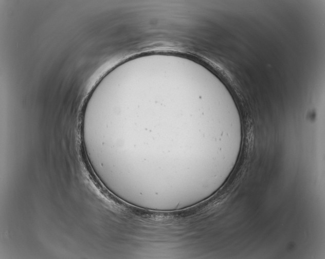 X0000116141375200912141123