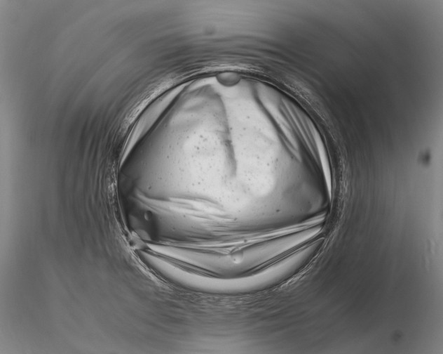 X0000116141377200912141123