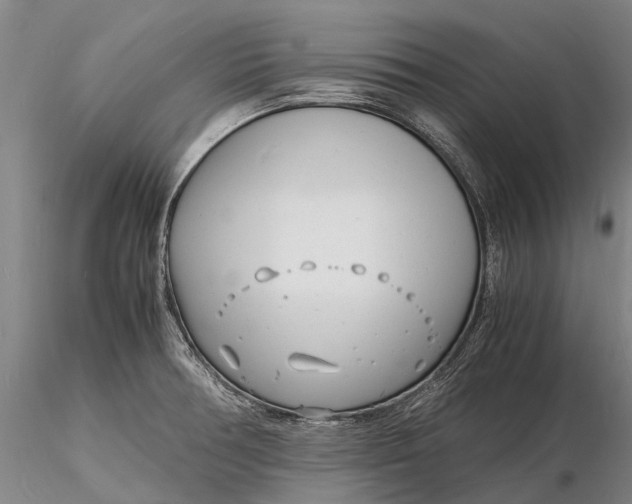 X0000116141378200912141123