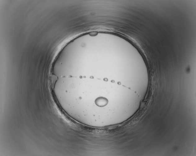 X0000116141379200912141123