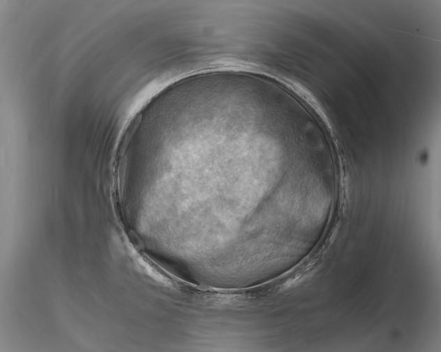 X0000116141381200912141122