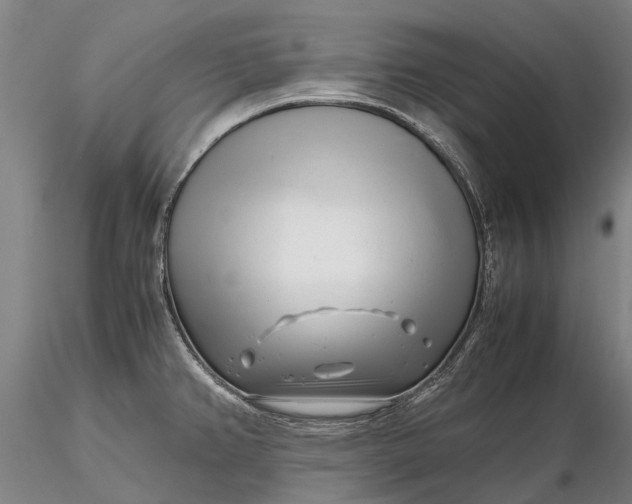 X0000116141382200912141122