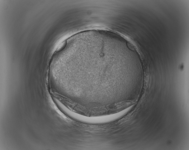 X0000116141383200912141122