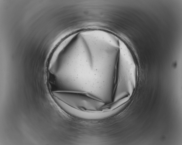 X0000116141384200912141122