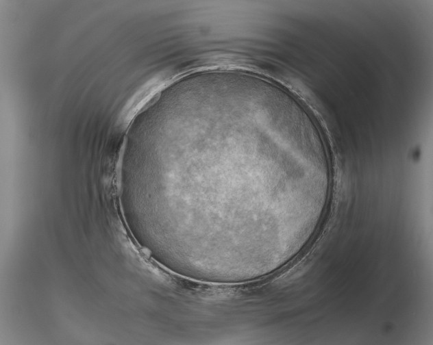 X0000116141385200912141122