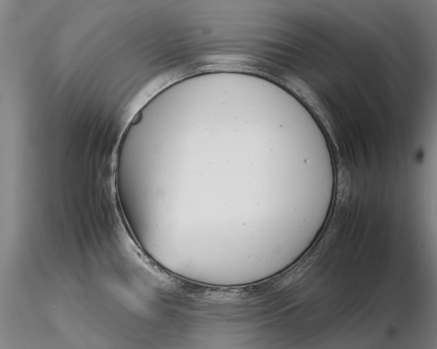 X0000116141386200912141122