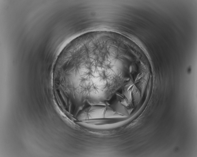 X0000116141388200912141122