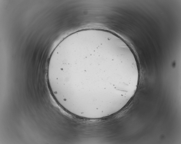 X0000116141390200912141122