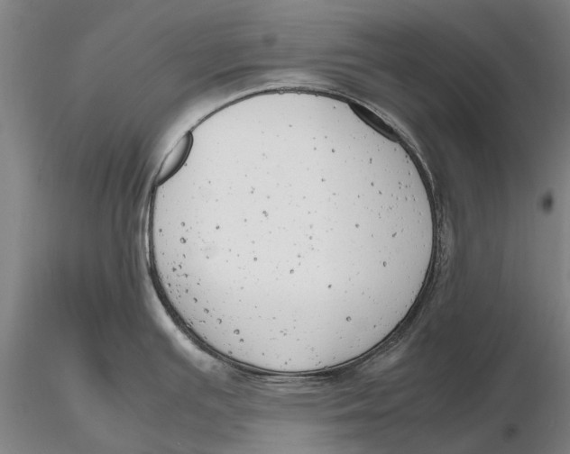 X0000116141391200912141122