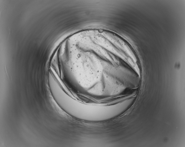 X0000116141392200912141122