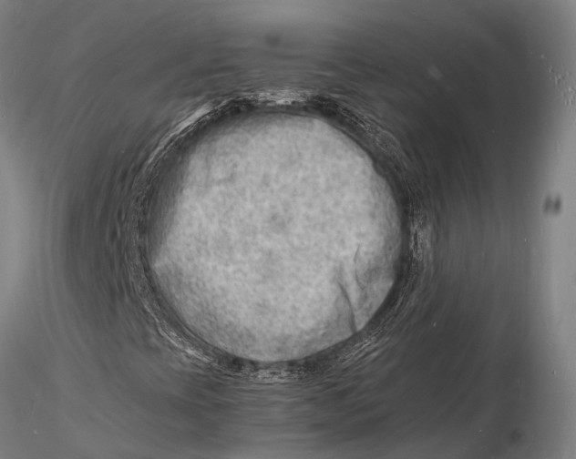 X0000116141393200912141122