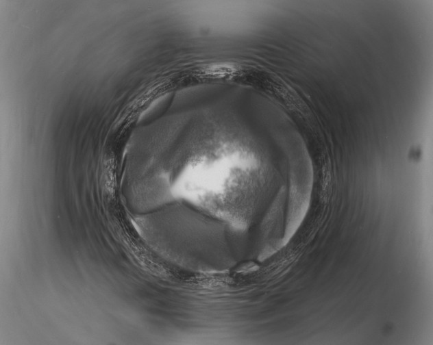 X0000116141394200912141122