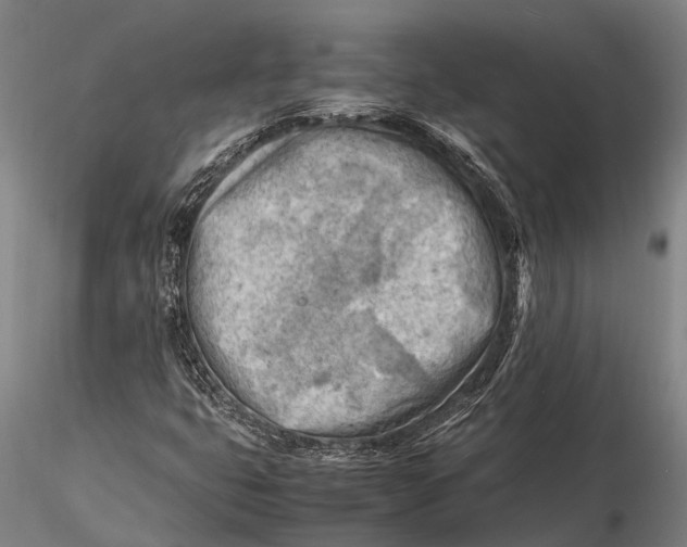 X0000116141399200912141122