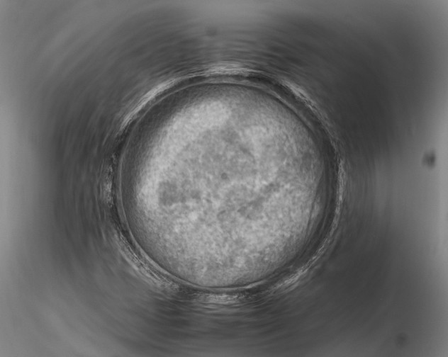 X0000116141401200912141122