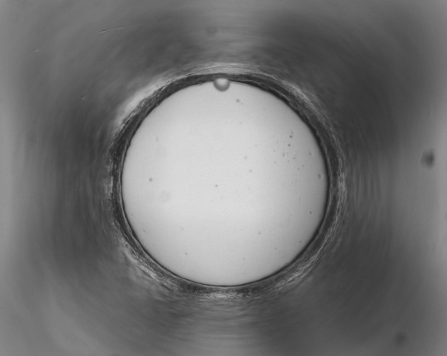 X0000116141406200912141122