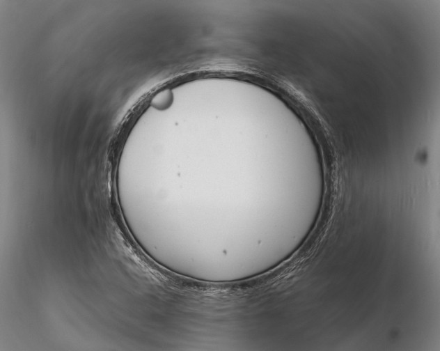 X0000116141408200912141122