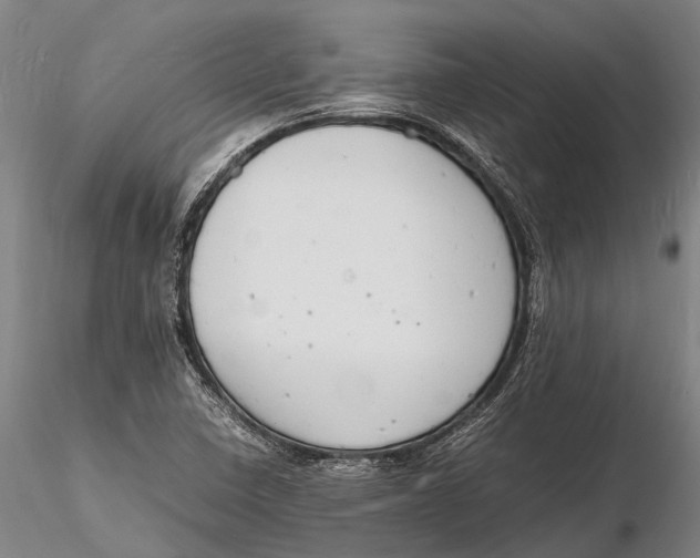 X0000116141410200912141122