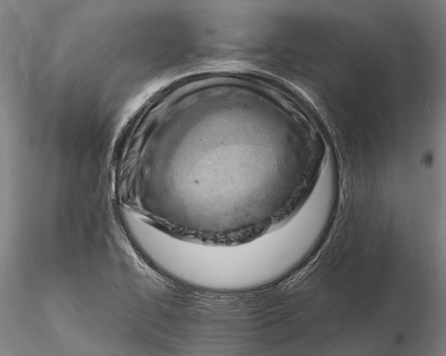 X0000116141414200912141122