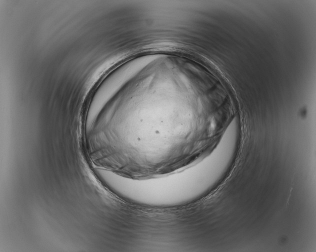 X0000116141418200912141122