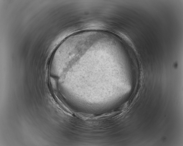 X0000116141419200912141122