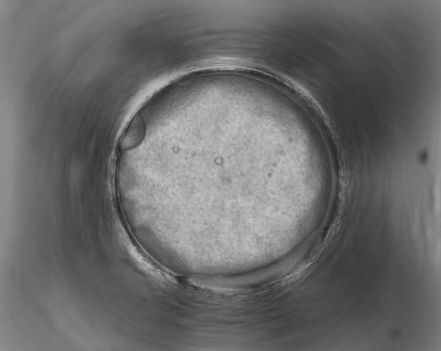 X0000116141421200912141122