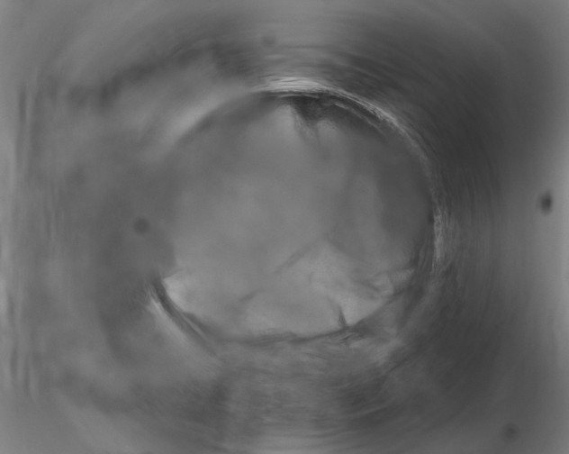 X0000116141422200912141122