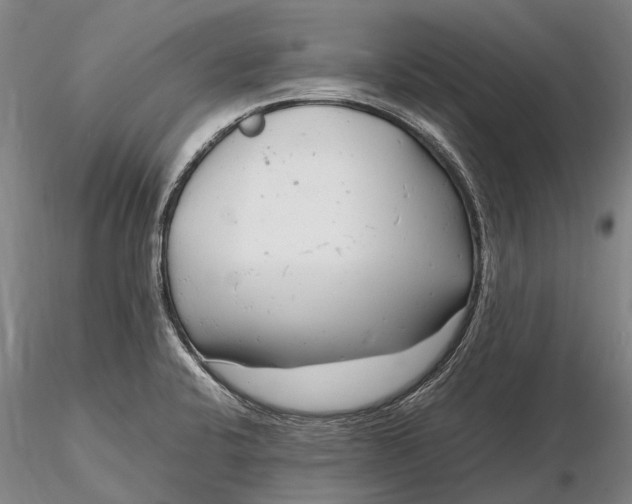 X0000116141424200912141122