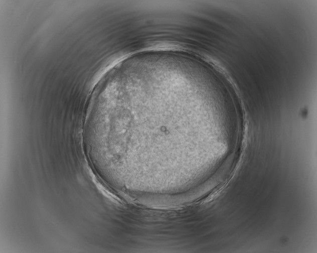 X0000116141425200912141122