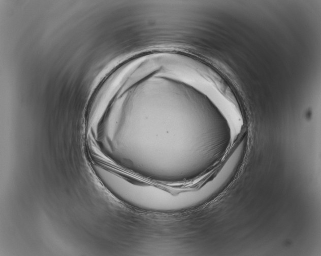 X0000116141428200912141122